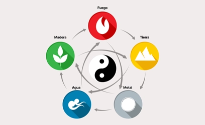 Imagen Top Curso Acupuntura 1